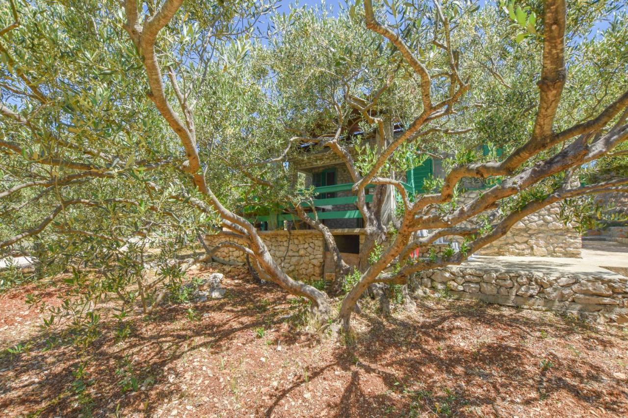 Villa House Oliva Tkon Exterior foto